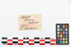 Etikett zu Bronzebrillenfibel (NHMW-PRAE-026073)